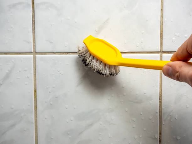 Best Attic Mold Removal  in Butler, IN