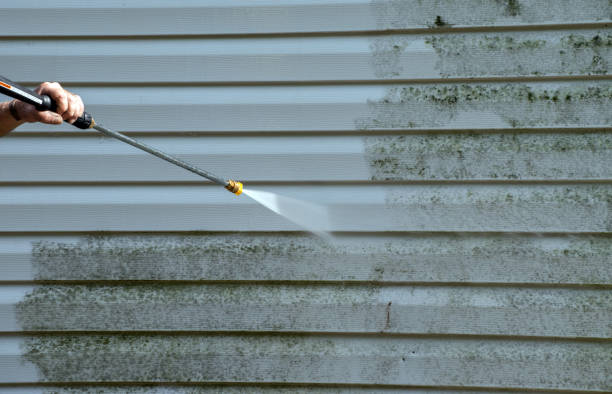 Best Commercial Mold Removal  in Butler, IN