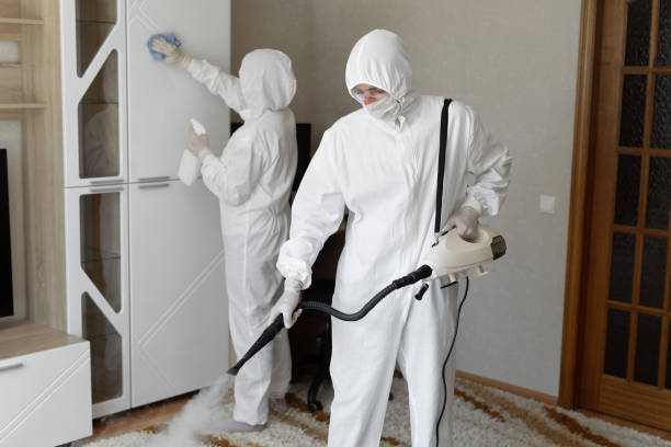 Best Certified Mold Removal  in Butler, IN