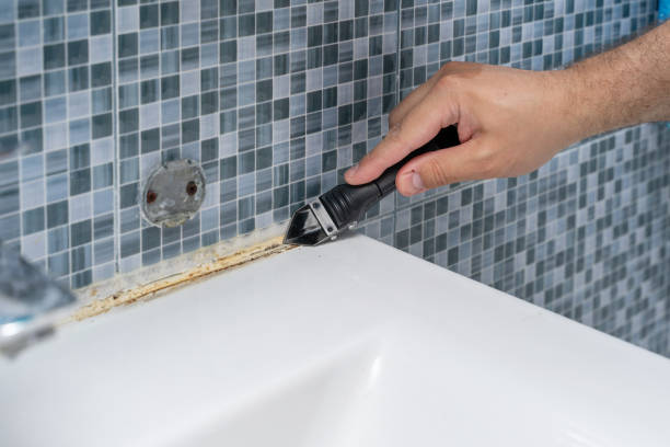 Best Mold Testing  in Butler, IN