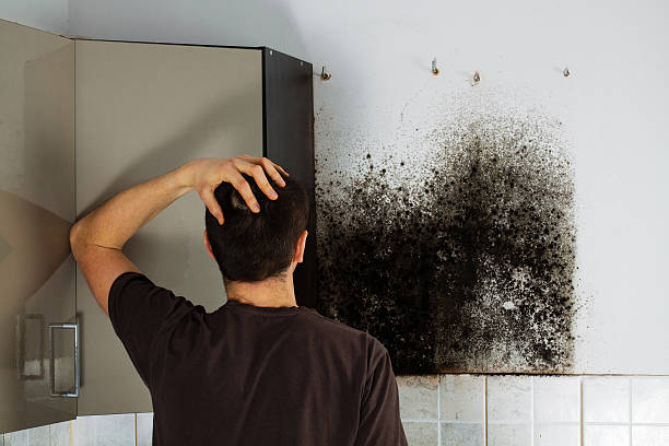 Best Mold Testing  in Butler, IN